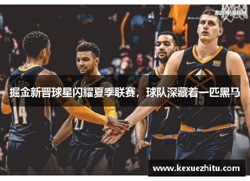 掘金新晋球星闪耀夏季联赛，球队深藏着一匹黑马
