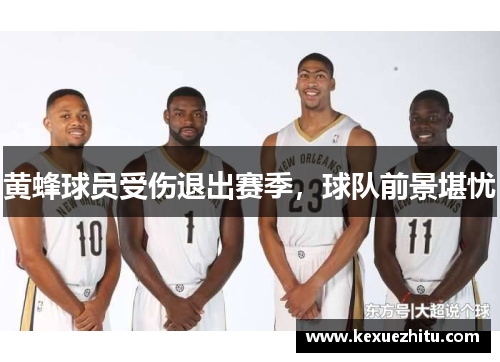 黄蜂球员受伤退出赛季，球队前景堪忧